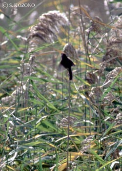 �_���}�G�i�K