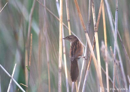 �I�I�Z�b�J